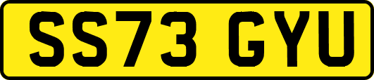 SS73GYU