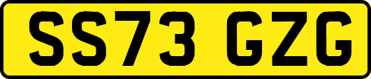 SS73GZG