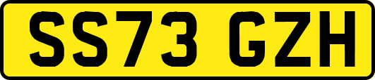 SS73GZH