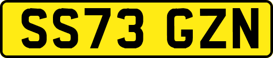 SS73GZN