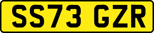 SS73GZR
