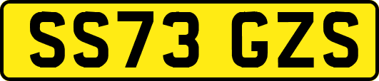 SS73GZS