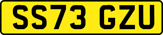 SS73GZU