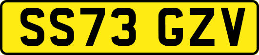 SS73GZV