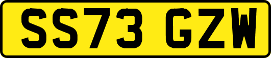 SS73GZW