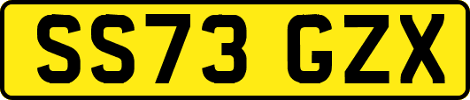 SS73GZX