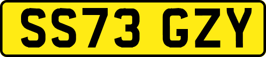 SS73GZY