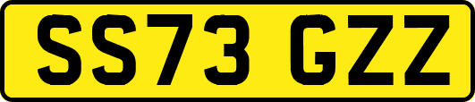 SS73GZZ