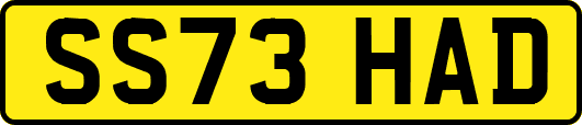 SS73HAD
