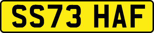 SS73HAF