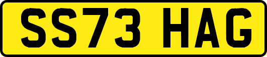 SS73HAG