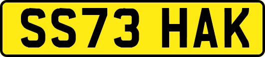 SS73HAK