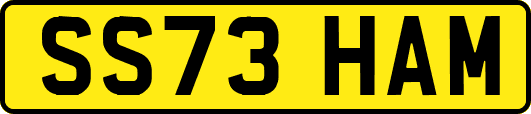 SS73HAM