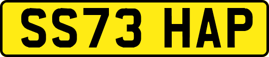SS73HAP