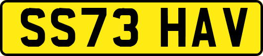 SS73HAV