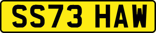 SS73HAW