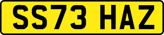 SS73HAZ