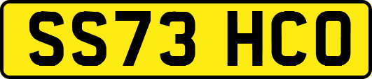 SS73HCO