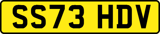 SS73HDV