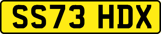 SS73HDX