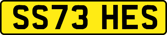 SS73HES