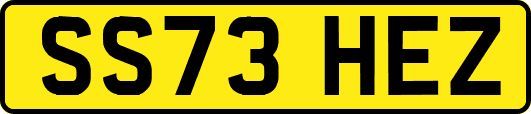 SS73HEZ