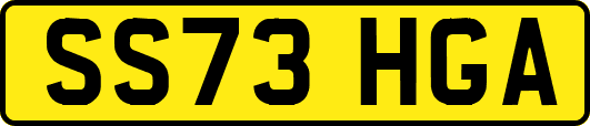 SS73HGA