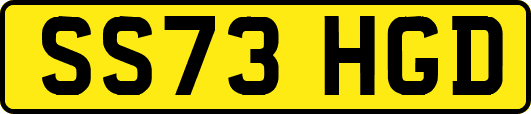 SS73HGD