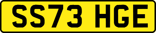 SS73HGE