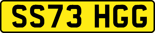 SS73HGG