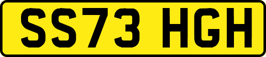 SS73HGH