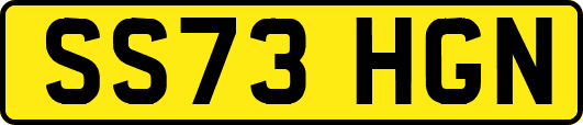 SS73HGN