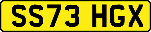 SS73HGX