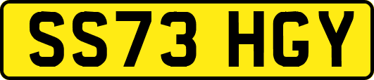 SS73HGY
