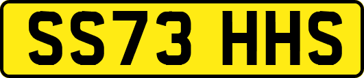 SS73HHS