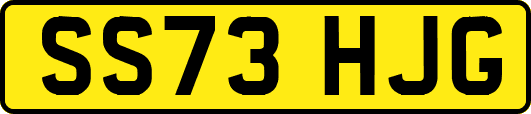 SS73HJG