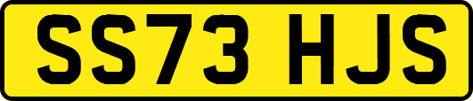 SS73HJS