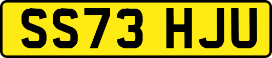 SS73HJU
