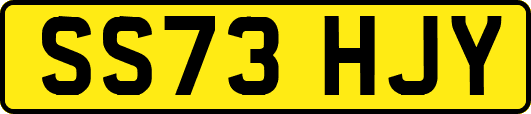 SS73HJY