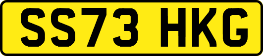 SS73HKG