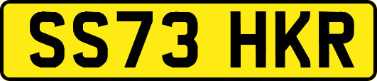 SS73HKR