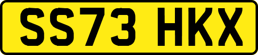 SS73HKX