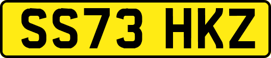 SS73HKZ