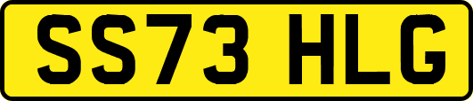 SS73HLG