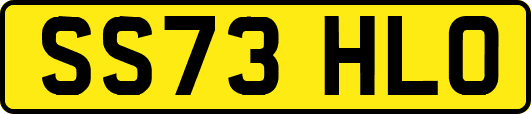 SS73HLO