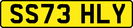 SS73HLY