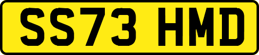 SS73HMD