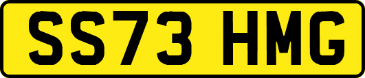 SS73HMG