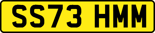 SS73HMM