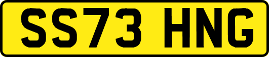 SS73HNG